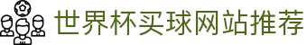 2026最强指南:世界杯买球网站推荐 - FIFA World Cup
